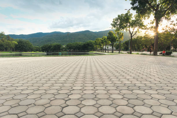 Best Custom Driveway Pavers  in Polson, MT